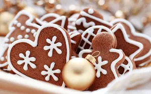 Sorry,i Think There Might Be An Error In Your Request. The Sentence 