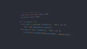 Programade Codificación En Python Wallpaper