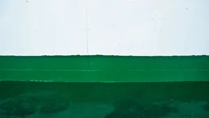 Dinding Hijau Dengan Cat Putih Wallpaper