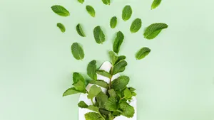 Lanskap Hijau Solid Yang Indah Wallpaper