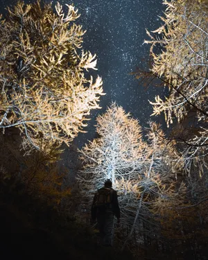 Udforsk den stjernekastede nattehimmel med en ombre-drejning Wallpaper