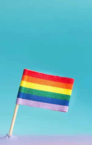 Subtil Lgbt-flagg I Lavendeljord Wallpaper