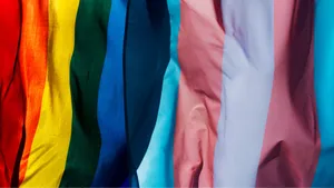 Enflagga I Regnbågens Färger Wallpaper