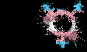 Vier Transgender Trots Met De Transgender Vlag! Wallpaper