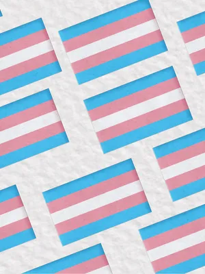 Vis din stolthed og støtte til transgenderfællesskabet med Trans-flaget. Wallpaper