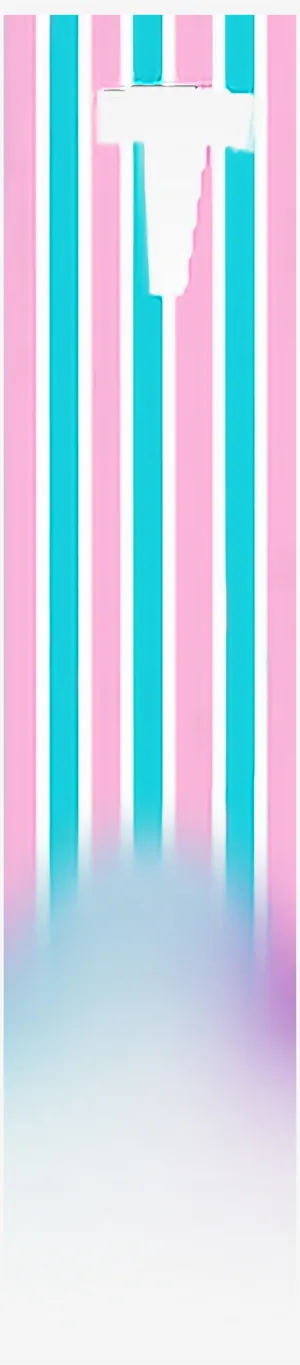 Vieren Van Onze Genderonafhankelijkheid Wallpaper