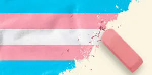Transgender Vlag Met Een Verfkwast Wallpaper