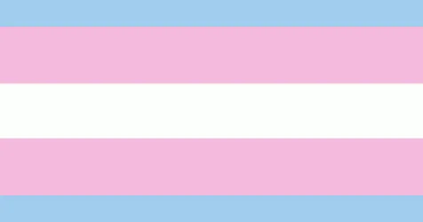 Trans Flag Wallpaper