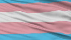 Fejrer mangfoldighed og stolthed - Trans Flag Wallpaper