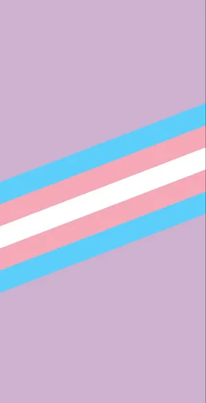 Een Transgender Vlag Met Een Blauwe, Roze En Witte Streep Wallpaper