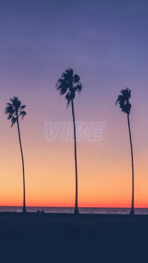 Sommer Vibes 1080 X 1920 Wallpaper