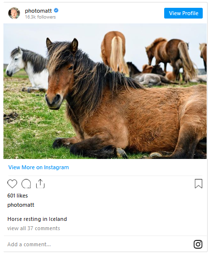 Screenshot of of an instagram post