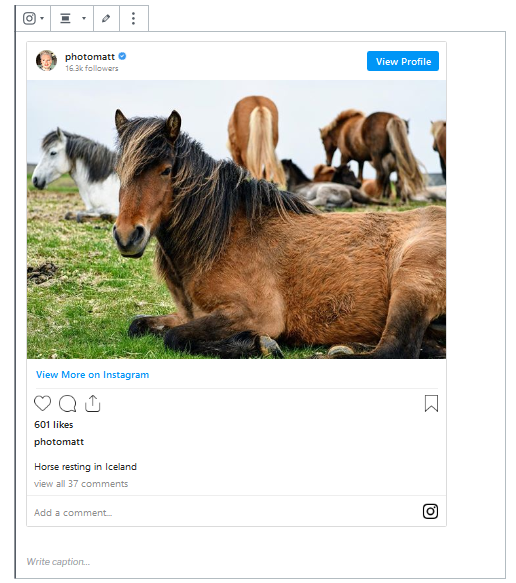 Preview of the embedded Instagram post within the WordPress editor.