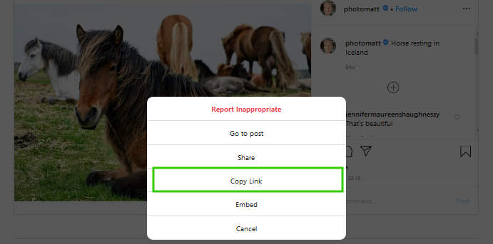 The correct URL to copy to use the embed block