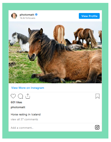 Instagram embed with a green background