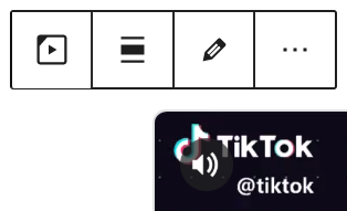 Block Toolbar with options available for the TikTok Block.