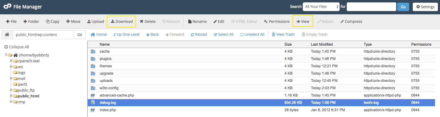 The wp-content folder in cPanel's File Manager.