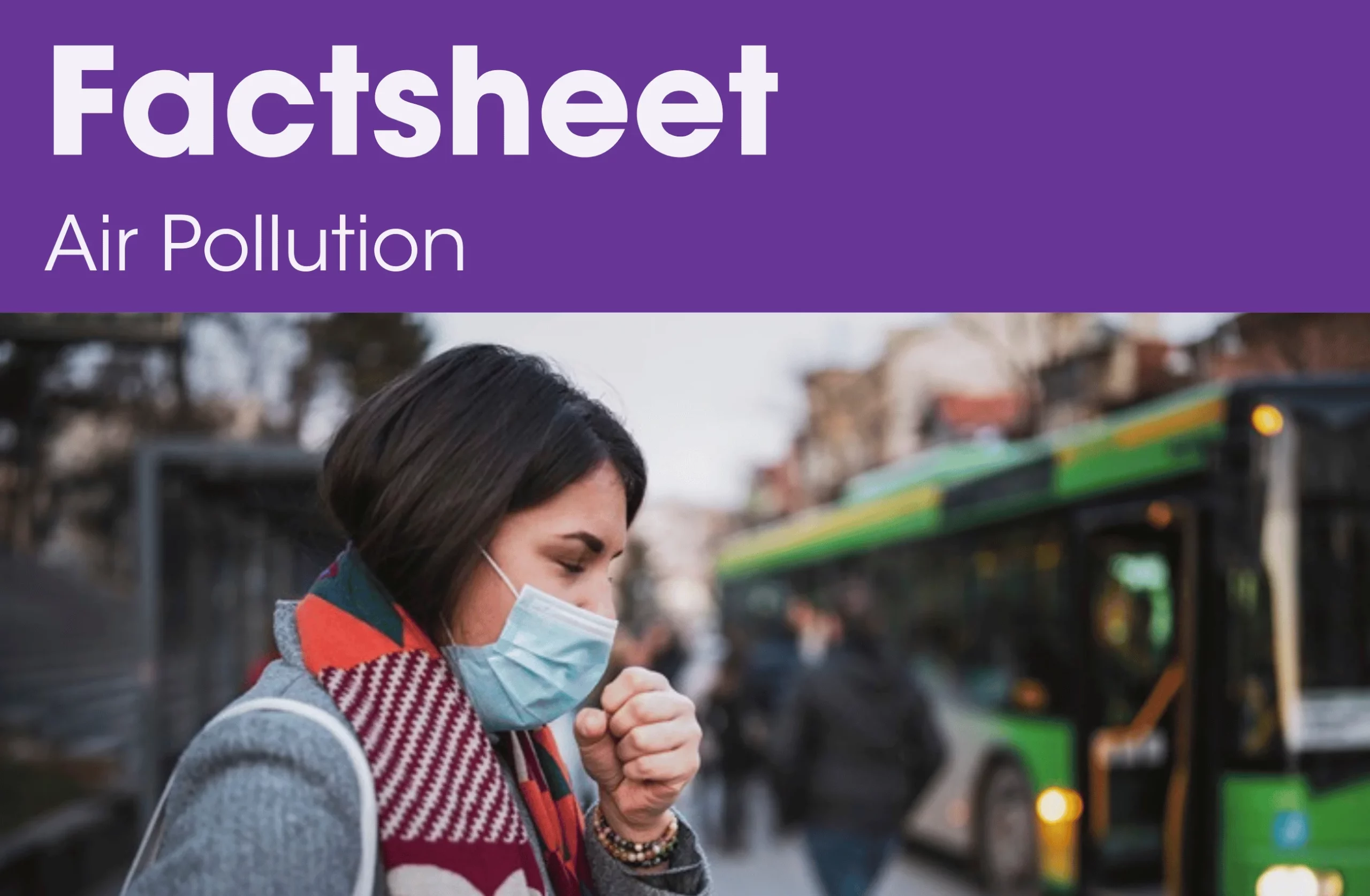 air pollution factsheet