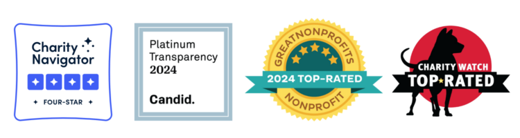 Four BCPP Charity Seals (Candid 2024, GreatNonprofits 2024, Charity Navigator 4 stars, and Top-rated Charity Watch)