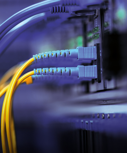 Fiber Networks