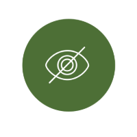 Website Accessibility