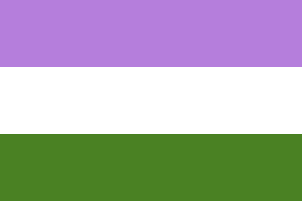 Genderqueer flag image preview
