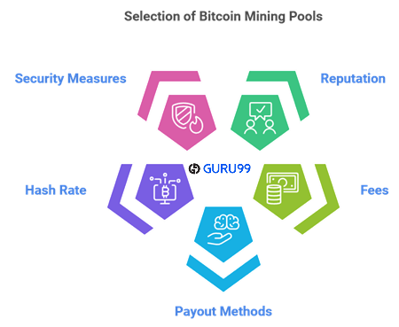 Sélection d' Bitcoin Piscines minières