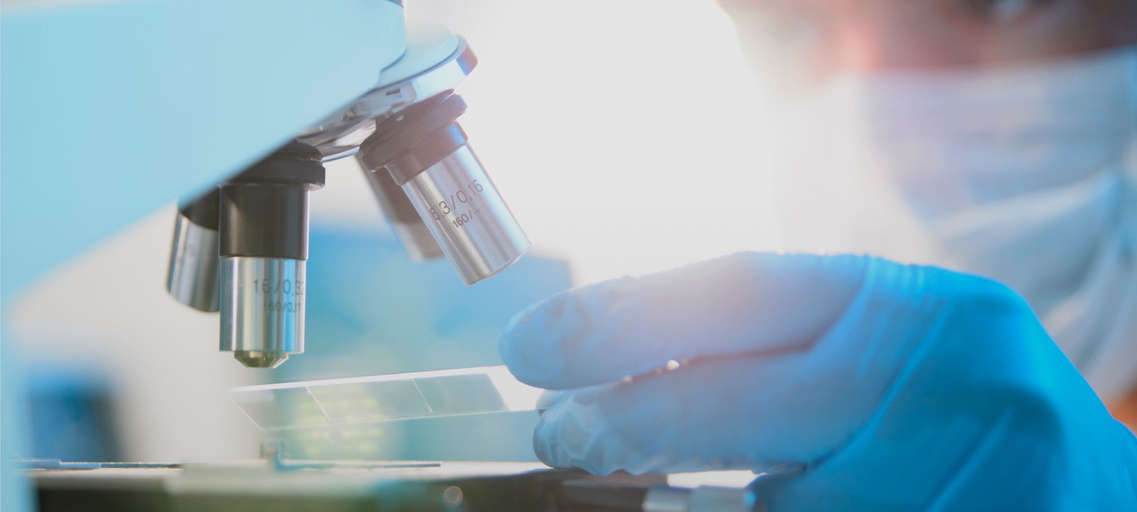 Optimize Tech e-commerce Digital Case Study