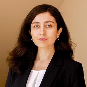 profile image of Faranak Hosseinpouli Mamaghani