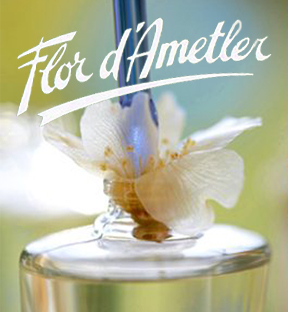 Flor d'Ametler. Flor de Almendro. The fragance of mallorca