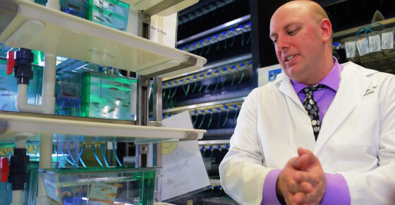 A scientist in a white lab coat.