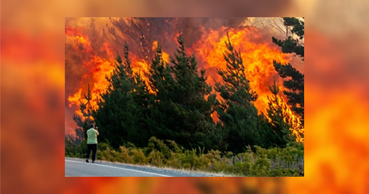 Man standing in front of trees that are on fire