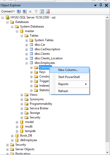 Add_Column_in_SQL_11.
