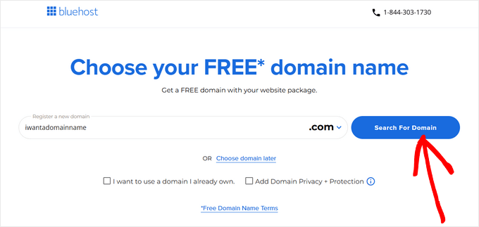 Bluehost Free Domain Name for WPBeginner Users