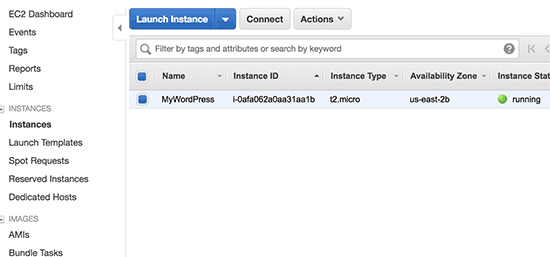 WordPress instance running