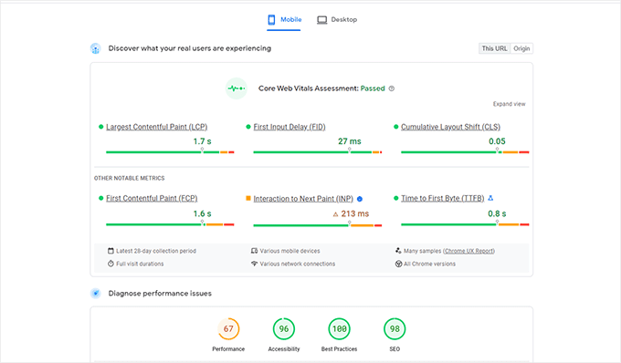 PageSpeed Insights preview