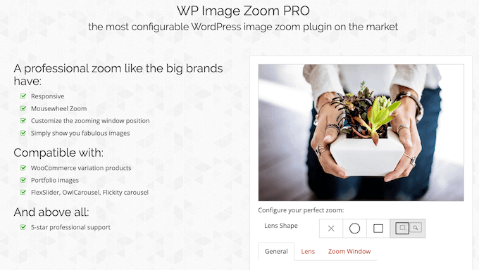 WP Image Zoom Review: Is It the Right Image Zoom Plugin for You?