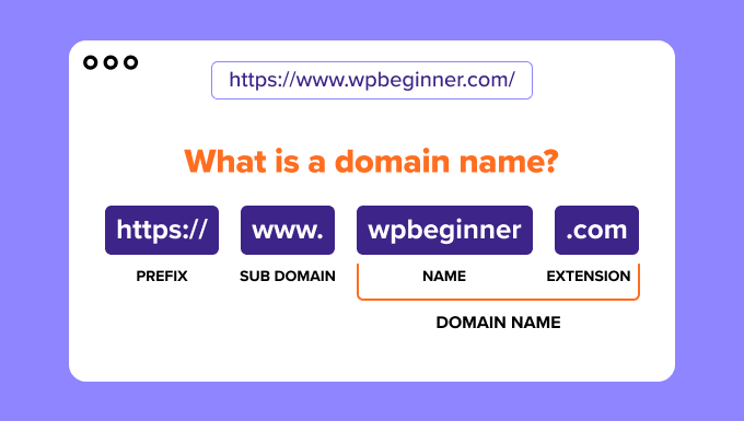 An infographic explaining what a domain name is An infographic explaining what a domain name is