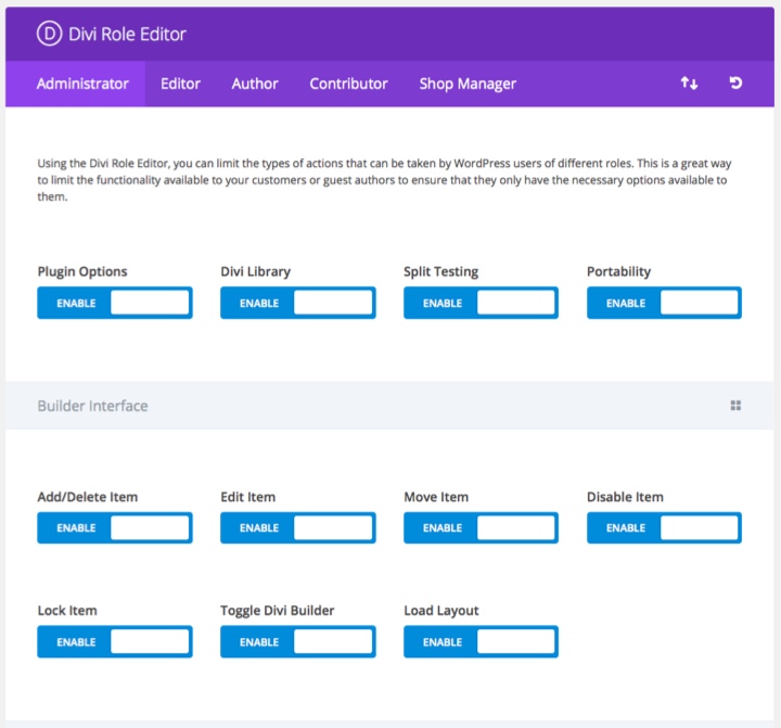 Divi Role Editor Options