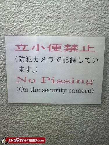 0909823security-camera 0909823security-camera