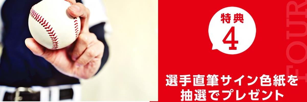 2024JCBカープカード