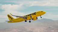 TikTok creator's crowdfunding campaign to buy Spirit Airlines racks up more than $335M in pledges