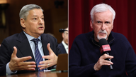 Netflix co-CEO accuses James Cameron of spreading 'misinformation' about Warner Bros. acquisition