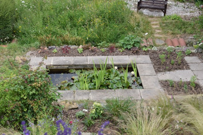 Garden pond