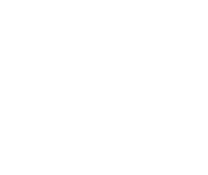 the-ac-logo-white copy agency collective logo