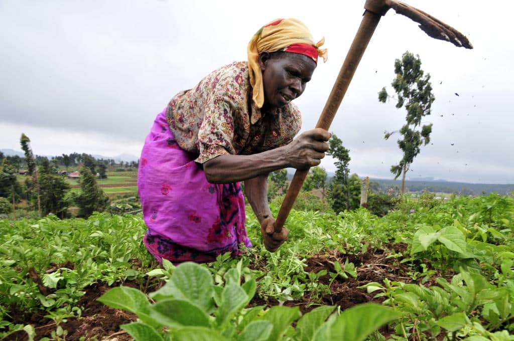 Agora Microfinance