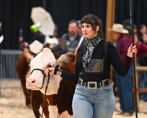 First Lady Classic MT22-2121