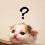 たった5分で簡単!AnacondaでPython3をインストール(Windows/Mac編)