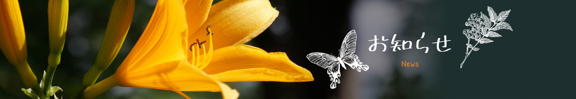 お知らせ