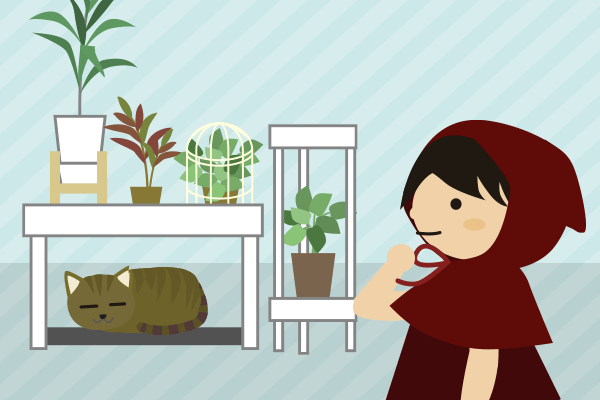 いつも通りの猫